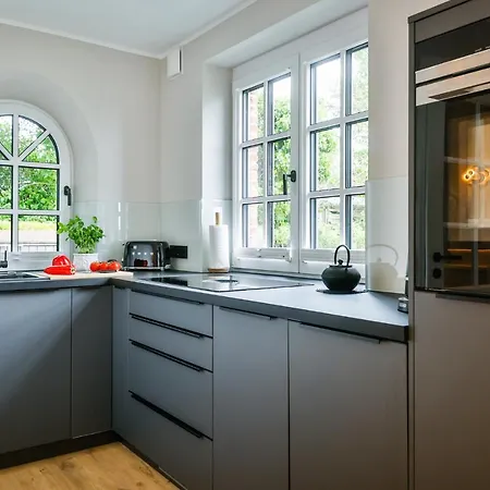 Salwiesenblick Salzwiesen Hues